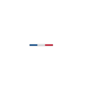 SavoirIA® Ile de France